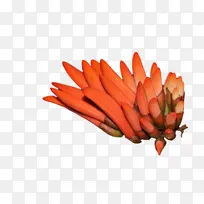 С���ܲ� �߲� Ǧ��-������