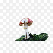 ��-������