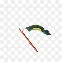 叶 喙 科学-空若网 叶 喙 科学-空若网