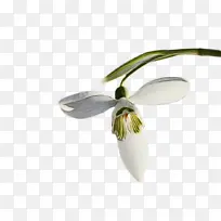 Ë®²Ê» ÑÕÁÏ ÊªÄ«-¿ÕÈôÍø Ë®²Ê» ÑÕÁÏ ÊªÄ«-¿ÕÈôÍø