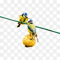 ÄñÀà »¢Æ¤ðÐðÄ À¥³æ-¿ÕÈôÍø ÄñÀà »¢Æ¤ðÐðÄ À¥³æ-¿ÕÈôÍø