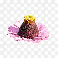 �л� ���� ��-������