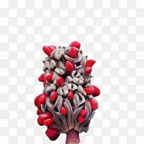 圣诞饰品 水果 圣诞节-空若网 圣诞饰品 水果 圣诞节-空若网