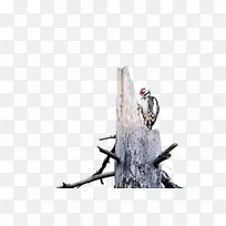 ��-������