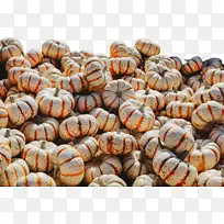 ���� �߲� ����-������