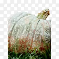 水彩 油漆 湿墨水-空若网 水彩 油漆 湿墨水-空若网