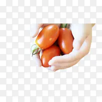 ��ȻʳƷ �� �߲�-������