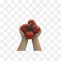 番茄 水果 嗯-空若网 番茄 水果 嗯-空若网