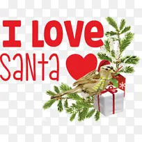 �Ұ�ʥ������ʥ������-������