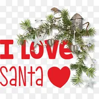 �Ұ�ʥ������ʥ������-������