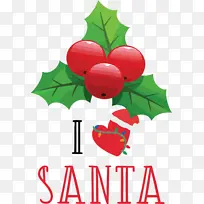 �Ұ�ʥ������ʥ������-������