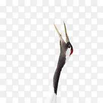 �� � ˮ��-������