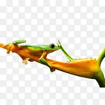 ���� ���� ��ѧ-������