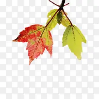 Ë®²Ê» ÓÍÆá ʪī-¿ÕÈôÍø Ë®²Ê» ÓÍÆá ʪī-¿ÕÈôÍø