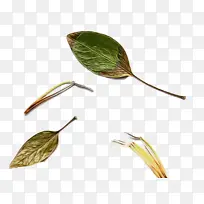 水彩画 颜料 湿墨-空若网 水彩画 颜料 湿墨-空若网