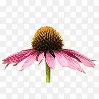 Ë®²Ê» ÑÕÁÏ ÊªÄ«-¿ÕÈôÍø Ë®²Ê» ÑÕÁÏ ÊªÄ«-¿ÕÈôÍø