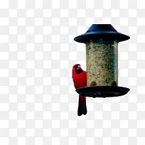 �� ��ʳ ��ѧ-������