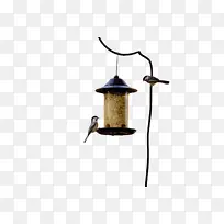 �� ��ʳ ��ѧ-������