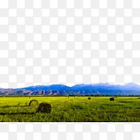 山景 草原 草地-空若网 山景 草原 草地-空若网