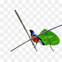 ���� � ��ë-������