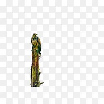 ֲ�ﾥ �� ��-������