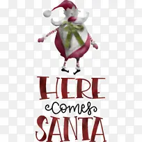 Ê¥µ®ÀÏÈËÀ´ÁË Ê¥µ®ÀÏÈË-¿ÕÈôÍø Ê¥µ®ÀÏÈËÀ´ÁË Ê¥µ®ÀÏÈË-¿ÕÈôÍø