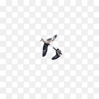 �� � ˮ��-������