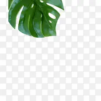 悉尼数字营销 社交媒体 媒体-空若网 悉尼数字营销 社交媒体 媒体-空若网