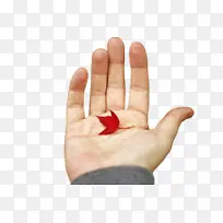 手模型 手语 语言-空若网 手模型 手语 语言-空若网