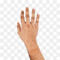 ˮ�ʻ� ���� ʪīˮ-������