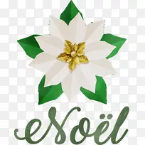 诺埃尔 圣诞节-空若网 诺埃尔 圣诞节-空若网