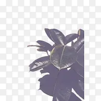 µ¥Ò»À´Ô´¿§·È ¿§·È »æ»-¿ÕÈôÍø µ¥Ò»À´Ô´¿§·È ¿§·È »æ»-¿ÕÈôÍø