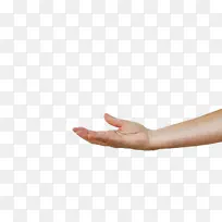 手模型 手 指甲-空若网 手模型 手 指甲-空若网