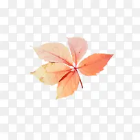 Ҷ�� ���� ��ѧ-������