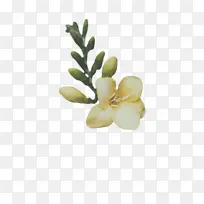 �� ���� ֲ��-������