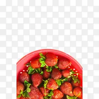 ��ݮ ��ȻʳƷ ����-������