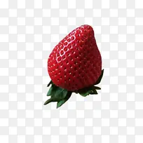 ��ݮ ����ˮ�� ����-������