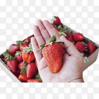 草莓 天然食品 浆果-空若网 草莓 天然食品 浆果-空若网