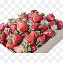 ��ݮ ��ȻʳƷ ����ʳƷ-������