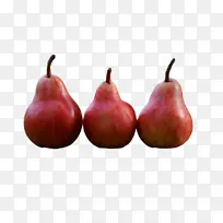 梨 果树 附属水果-空若网 梨 果树 附属水果-空若网