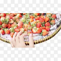 ˮ�� ���� ʪīˮ-������