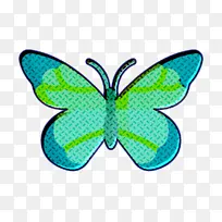 蝴蝶图标 昆虫图标 昆虫学图标-空若网 蝴蝶图标 昆虫图标 昆虫学图标-空若网