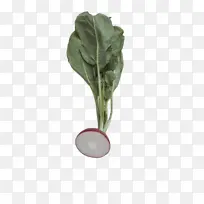 叶 叶类蔬菜 植物茎-空若网 叶 叶类蔬菜 植物茎-空若网