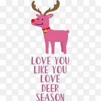 爱 鹿 季节-空若网 爱 鹿 季节-空若网