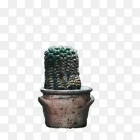 陶瓷 植物 花盆-空若网 陶瓷 植物 花盆-空若网