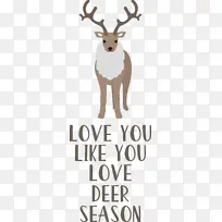 爱 鹿 季节-空若网 爱 鹿 季节-空若网