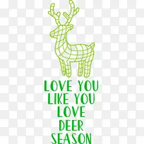 爱 鹿 季节-空若网 爱 鹿 季节-空若网