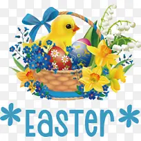 ����ڿ��� ����� ���˰-������