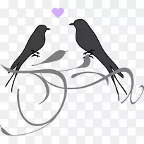 爱情鸟婚礼请柬艺术-爱情鸟-空若网 爱情鸟婚礼请柬艺术-爱情鸟-空若网