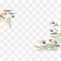 昆虫 传粉者 叶-空若网 昆虫 传粉者 叶-空若网